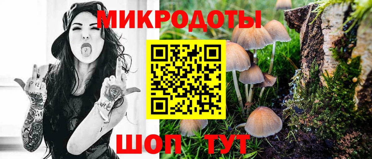 Псилоцибиновые грибы GOLDEN TEACHER Баксан